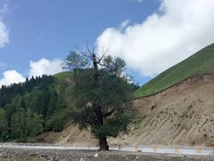 -小渠子旅游区