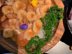 -季季山·云南野生菌火锅(上海首店)
