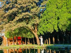 -崇圣寺三塔文化旅游区