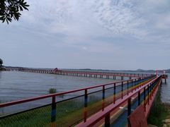 -鄱阳湖国家湿地公园