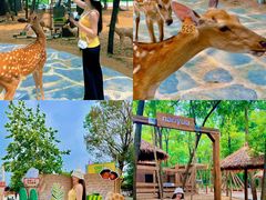 -南戴河国际娱乐中心