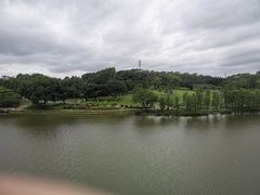 -东莞植物园