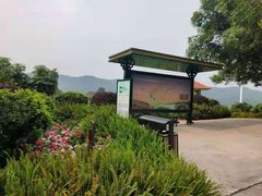 -雁南飞茶田景区