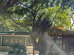 -广东圆玄道观