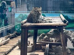-昆明动物园