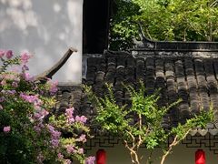 -上海醉白池公园
