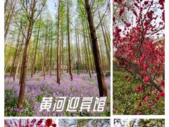 -河南省黄河迎宾馆