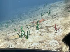 -大连旅顺潜艇博物馆