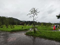 -五营国家森林公园