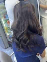 -藤野造型