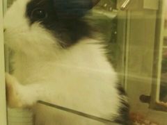 -龙猫仔乐园(惠福东路店)