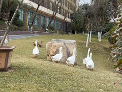 -西安国际创新人才交流中心•药浴温泉