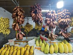 -南沙十九涌渔人码头-南门