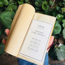 -香遇沙龙香水·调香·团建