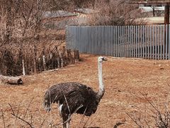 -沈阳森林动物园