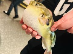 -永安鱼庄·镇江菜(东吴路店)