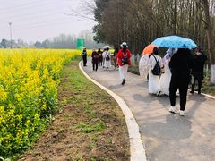 -桤木河湿地公园