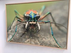 -上海昆虫博物馆