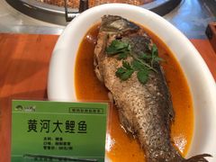 -胡杨记忆(和平路店)
