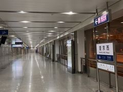 -望京西(地铁站)