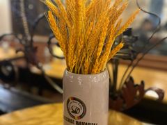 -巴伐利亚啤酒坊(意式风情街店)