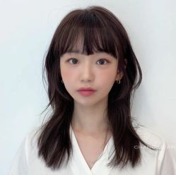 -金派发型