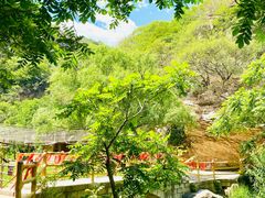 -黑龙潭风景区