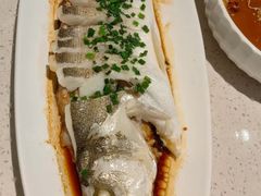 -船歌·鱼水饺青岛菜(金狮广场店)