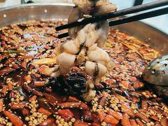 -蜀今朝美蛙鱼头火锅(筠连店)