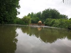 -溱湖国家湿地公园