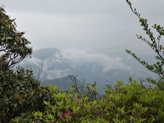 -江西阳明山国家森林公园
