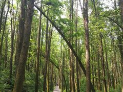 -同里国家湿地公园