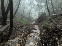 -大连天门山国家森林公园