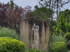 -白鹭湾湿地公园