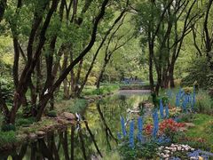 -上海共青森林公园