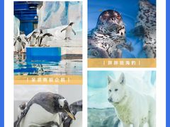 -大连圣亚海洋世界