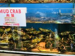 -真浪花园海鲜餐馆