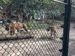 -北京野生动物园