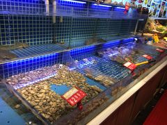 水产区-必点海鲜·鲅鱼水饺(鞍山西道店)