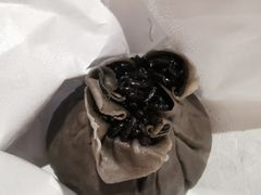 -旺福楼·包点(碑亭巷店)