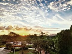 -深圳大学(丽湖校区)
