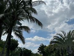 -三亚海棠湾万丽度假酒店