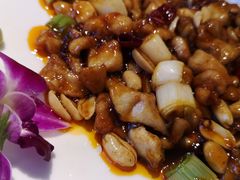 -朝郡酒家·粤菜(燕大星苑店)