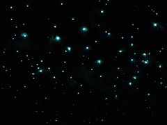 -怀托摩萤火虫洞