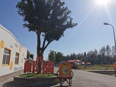 -前小桔亲子创意农场·草莓采摘·露营烧烤