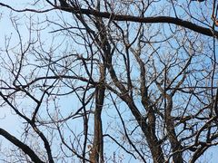 -沈阳辉山风景区