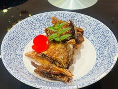 -上海1号私藏菜(黄浦店)