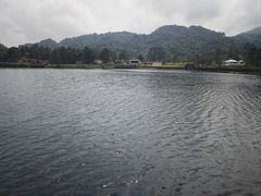 -海南热带雨林国家公园吊罗山景区