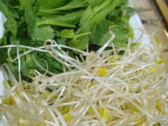 -马帮菜馆·美味野生菌