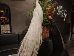 -滇野云南野生菌餐厅(陕西南路店)